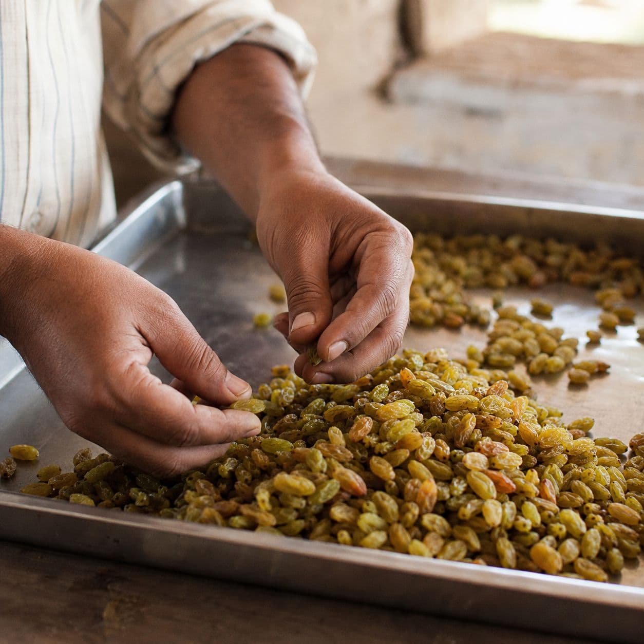 Hand-sorting raisins